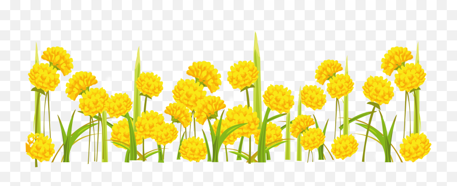 Clipart Transparent Background - Clipart Transparent Background Flower Png,Yellow Flower Transparent Background