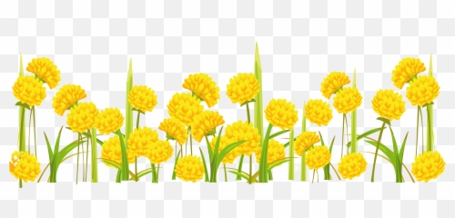 Clipart Transparent Background - Flower png