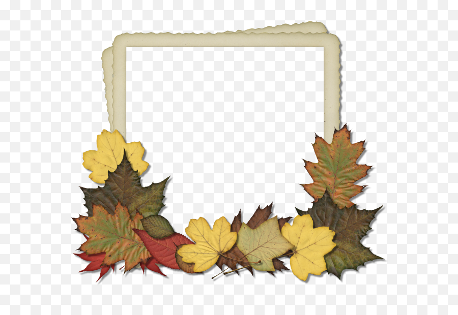 Fall Leaves Frame Png Transparent - Portable Network Graphics,Fall Frame Png