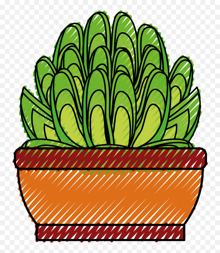 Succulent Clipart - Clipartworld Decorative Png,Succulent Icon Transparent