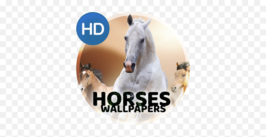 Wallpapers With Horses Apk 11042020horses - Download Free Horse Supplies Png,Mares Icon Hd Screen Protector