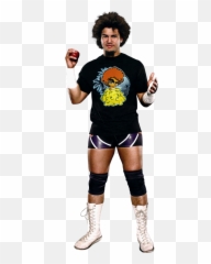 Carly Colón Pro Wrestling Fandom - For Men png