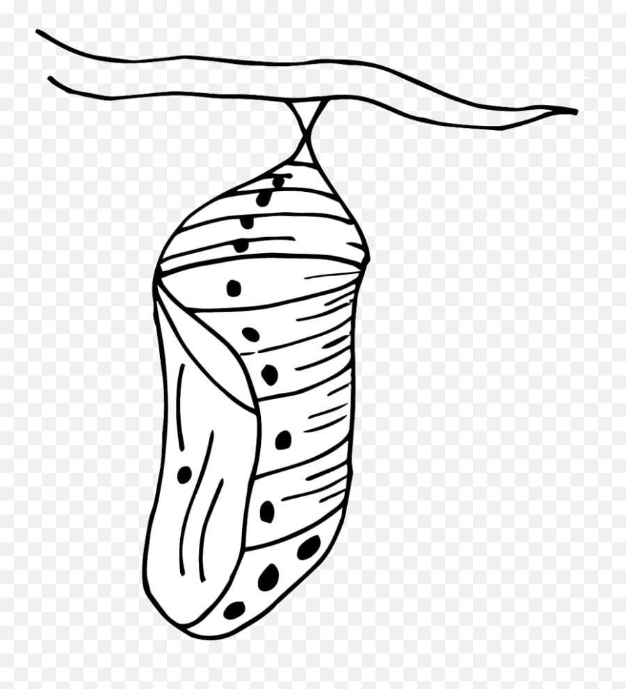 Eggs Of Butterfly Clipart - Clip Art Library Chrysalis To Color Png,Chrysalis Icon