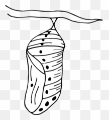 Eggs Of Butterfly Clipart - Clip Art Library Chrysalis To Color png
