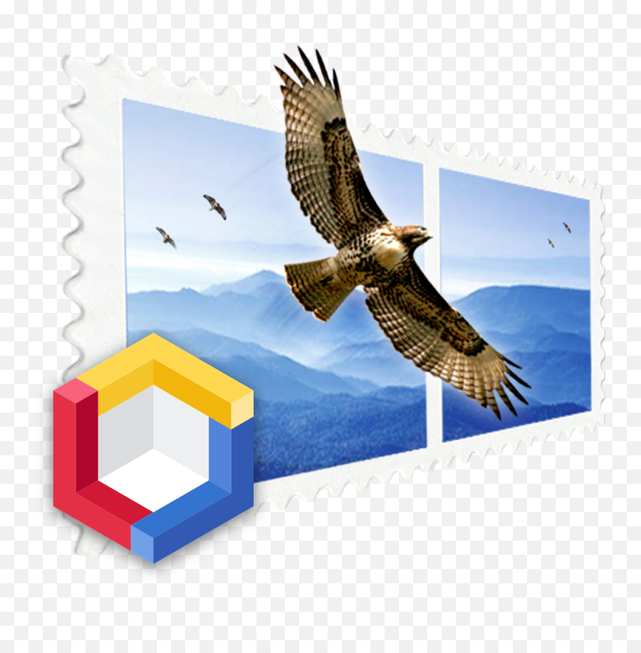 Mailsuite - Falcon Png,Mac Mail Icon