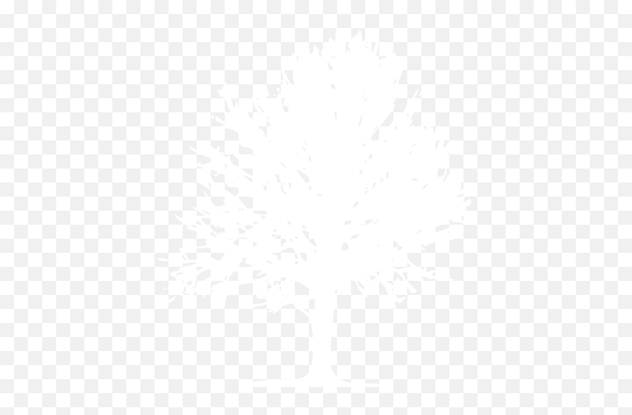 White Tree 18 Icon - Sketch Png,White Tree Icon