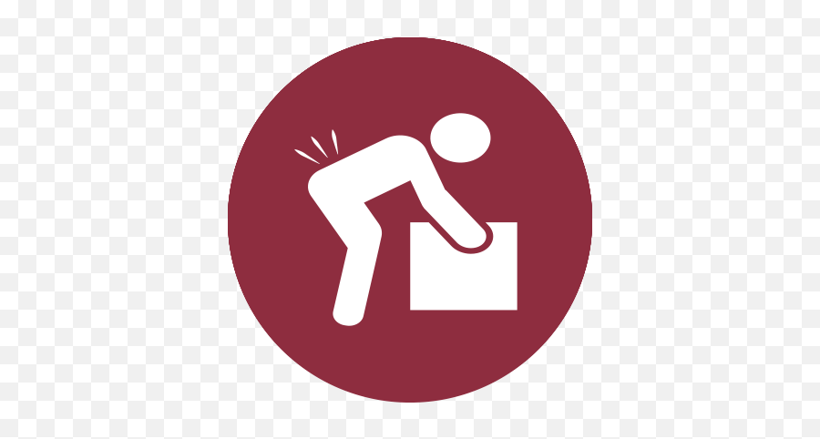 Fact Sheets U2014 Functional Pilates - Circle Png,Back Pain Icon