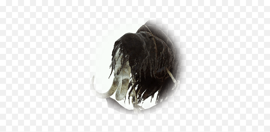 Skeleton Witmirth - Bdo Codex Mammoth Png,Elephant Tusk Icon