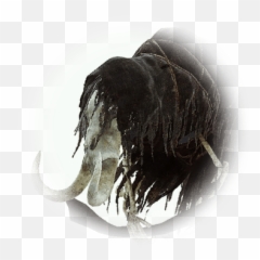 Skeleton Witmirth - BDO Codex Mammoth png