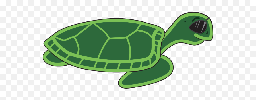 Turtle Puns 29 Different Ways To Be A Nerd - All Tortoise Png,Toroise Icon