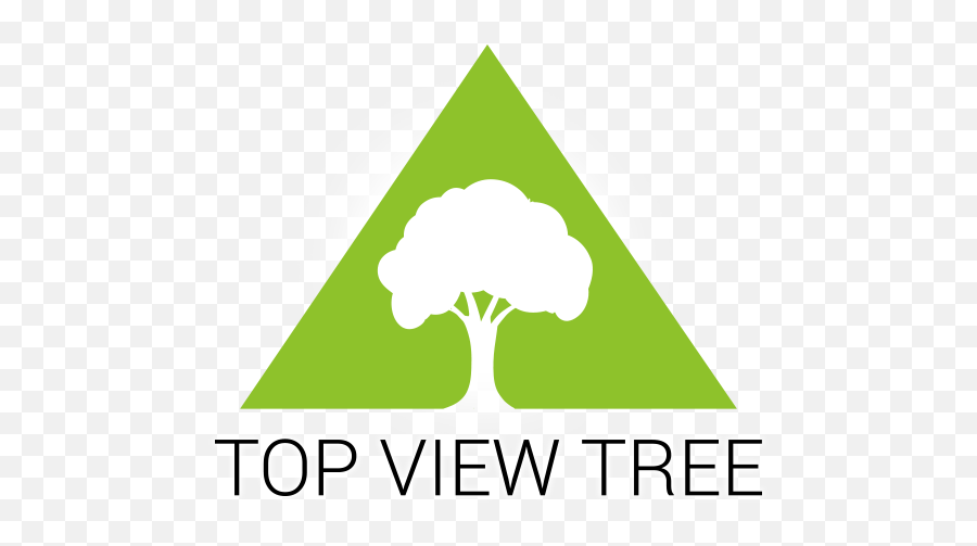 Top View Tree - Tree And Stump Services Graphic Design Png,Tree Top View Png
