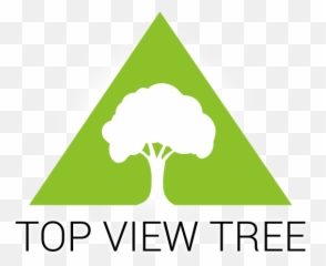 Top View Tree - and Stump Services Graphic Design png