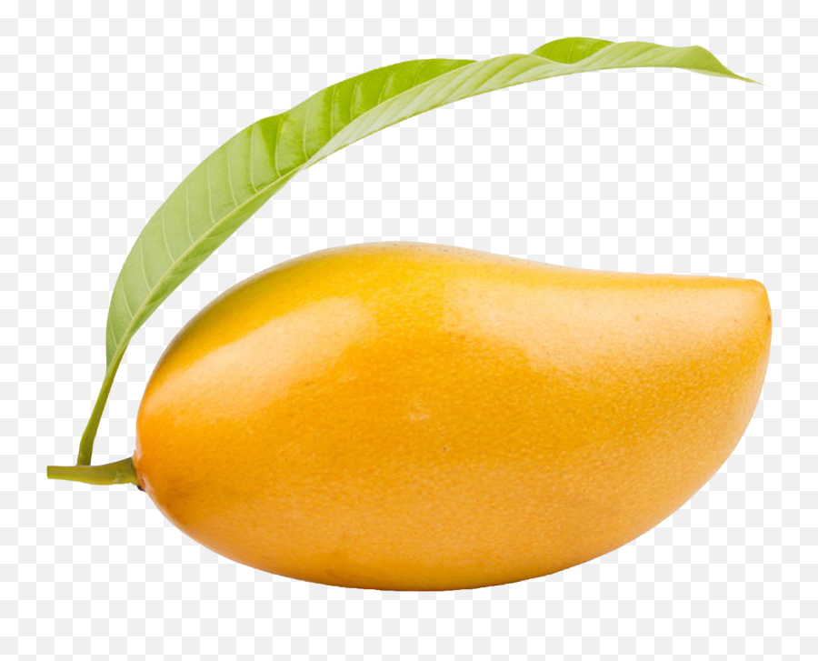 Download Mango Png Clipart - Ripe Mango Full Size Png Mango Png Transparent Background,Mango Transparent Background