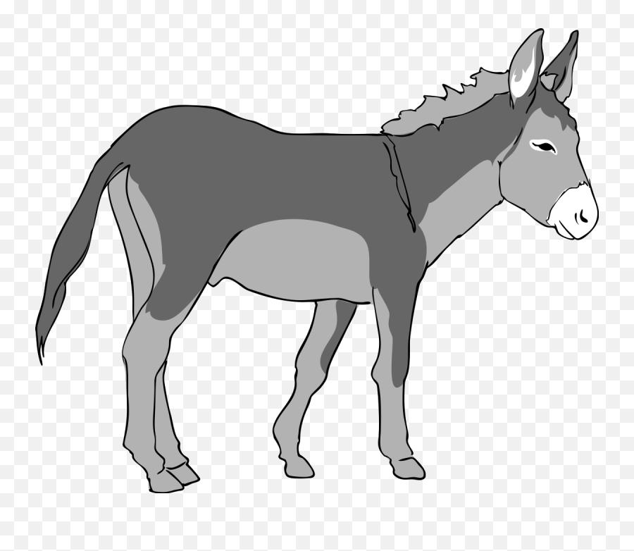 Hd Png Transparent Donkey - Donkey Clipart,Donkey Png