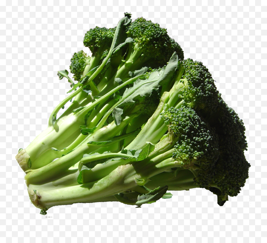 Broccoli - Fruits Used As Vegetables Png,Brocolli Png