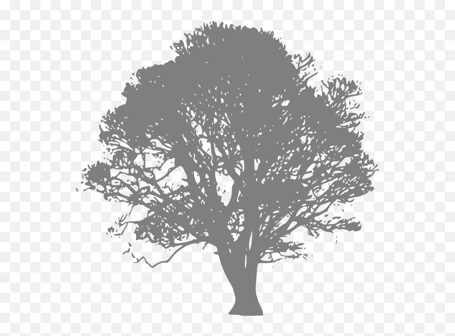 Silhouette Grey Tree Png - Burial Of The Rats Bram Stoker,Oak Tree Silhouette Png