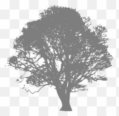 Silhouette Grey Tree Png - Burial Of The Rats Bram Stoker