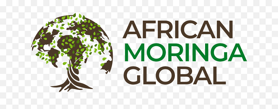African Moringa Global Png Tree