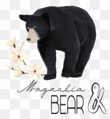 Bear Logo - American Black png