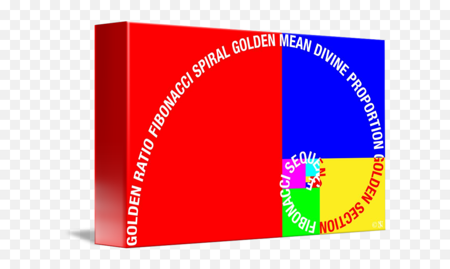 Golden Ratio Fibonacci Spiral - Circle Png,Golden Ratio Png
