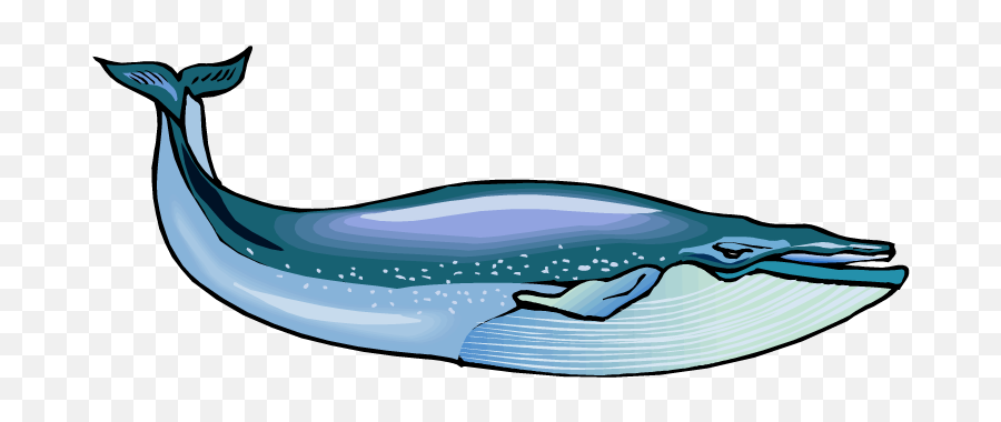 Blue Whale Clip Art - Clip Art Of Blue Whale Png,Blue Whale Png