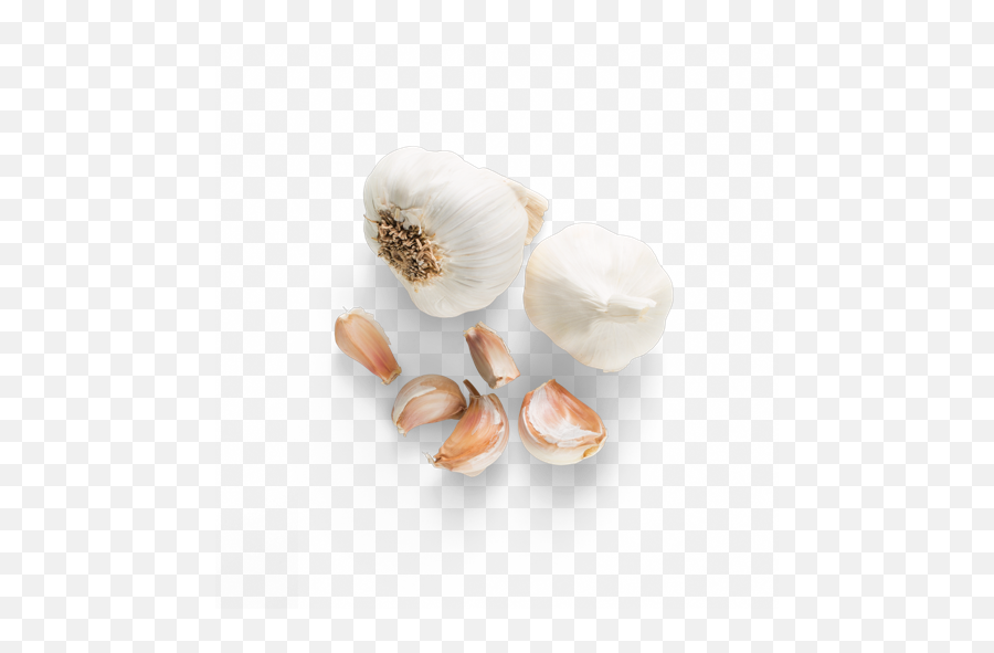 Chipotle - Garlic Chipotle Ingredients Png,Garlic Png