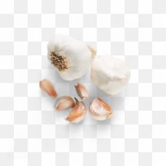 Chipotle - Garlic Chipotle Ingredients Png,Garlic Png