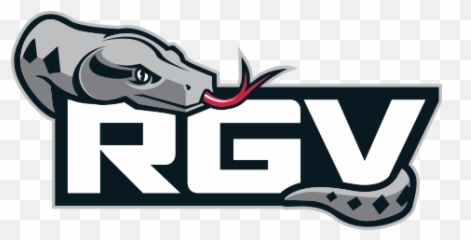 Nba G League Basketball Scores - Rio Grande Valley Vipers png