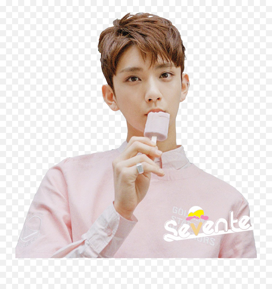 Wonwoo Png - 54 Images About Seventeen Png On We Heart It Boy,Seventeen Transparent