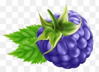 Free Blackberry Cliparts Download - Transparent Background Raspberry png