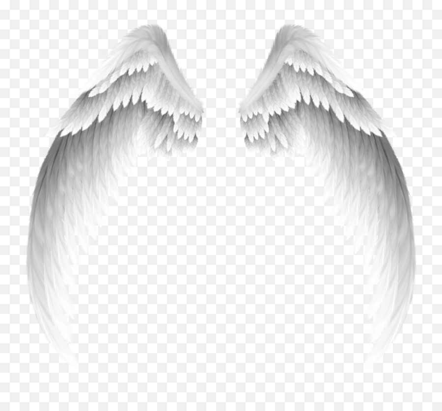 Download White Pretty Angel Wings Free Image - Transparent Angel Wings Png,Angel Wing Icon