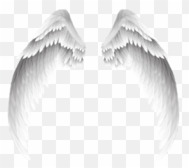 Download White Pretty Angel Wings Free Image - Transparent png