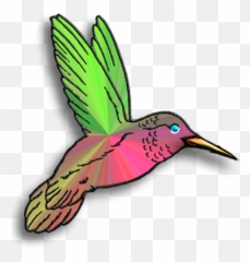 Hummingbirds And Image Png - Art Pictures Of Hummingbirds,Humming Bird Png