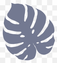Local Creative Web Design For Creatives - Cricut Monstera Leaf Svg Free png