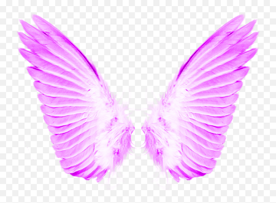 Download Hd Load 40 More Imagesgrid View - Transparent Transparent Background Angel Wings Png,Angel Wings Transparent Background