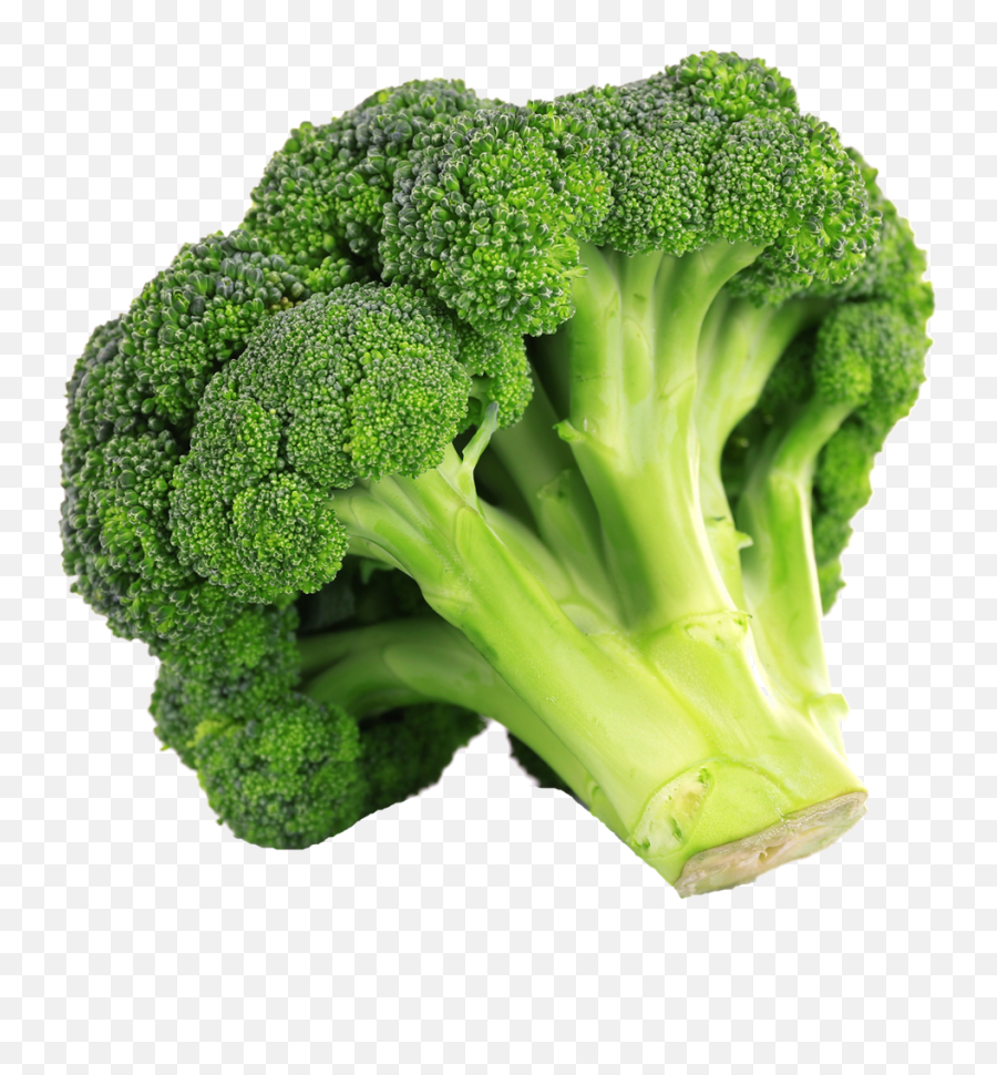 Png Transparent Images Free Download Broccoli
