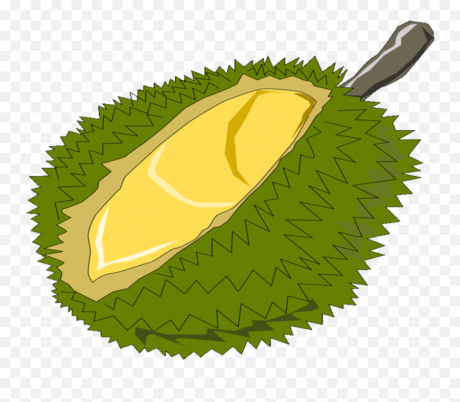 Durian Png - Vector Royalty Free Free Fruits Name John Clipart Durian Png,Royalty Free Logos