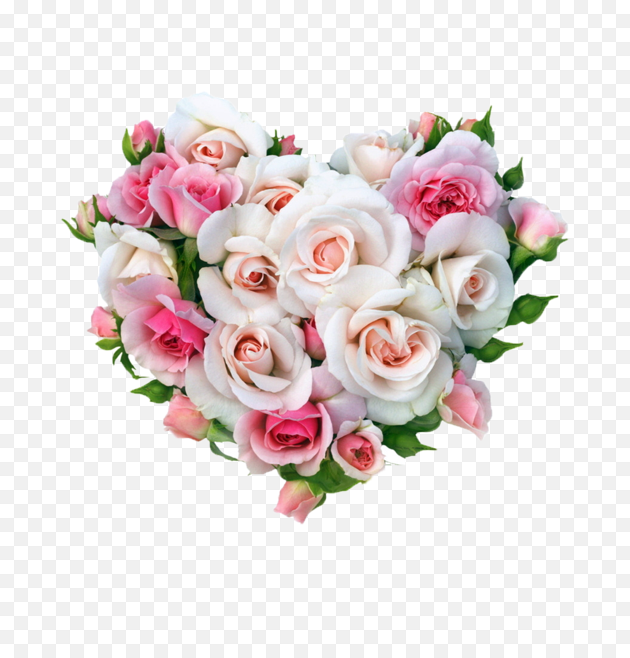 White Rose Heart Shape Png Image Free - White Rose Image Download,White Roses Png