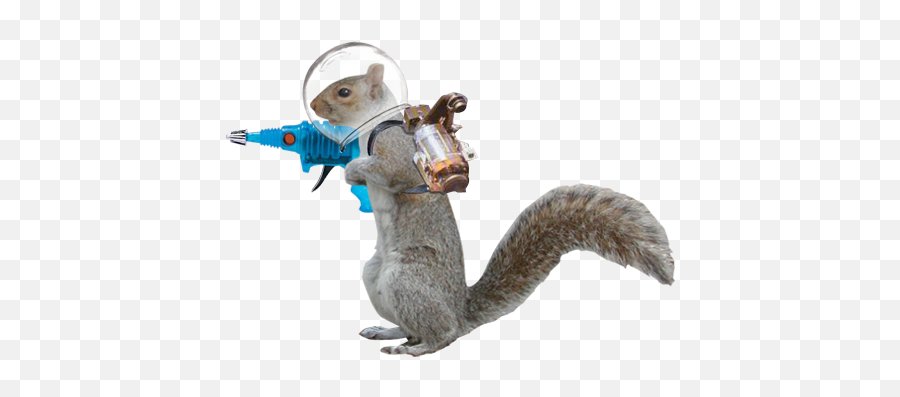 Png Transparent Squirrel - Omg Laser Guns Pew Pew Pew,Squirrel Transparent Background
