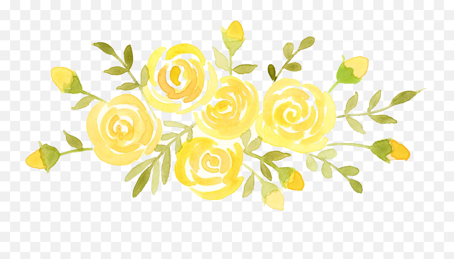 Yellow Roses By Paloma Navio Watercolor Illustration - Yellow Rose Watercolor Png Free,Yellow Rose Transparent
