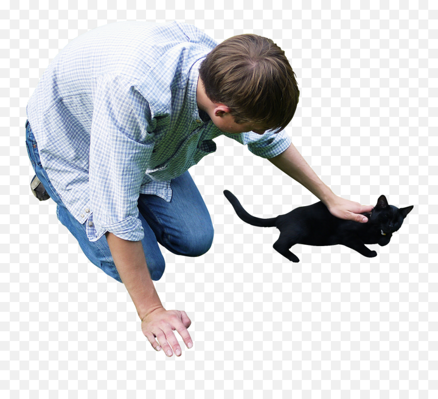 Download Cat Png Image For Free - People And Cat Png,Cats Png