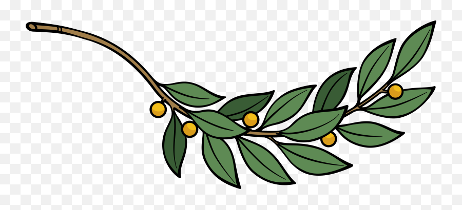 Plant Flora Leaf Png Clipart - Branch Of Laurel,Laurel Leaves Png