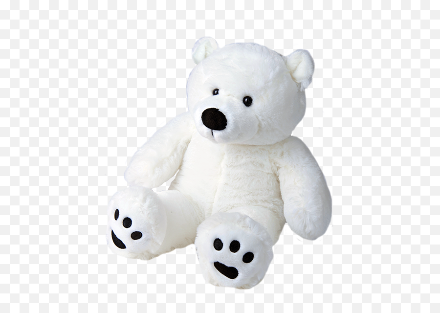 Paws The Polar Bear 16 - Teddy Bear White Png,Baby Bear Png