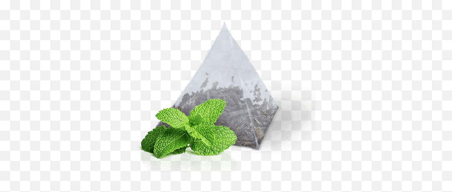 Hidden Garden Peppermint Herbal Tea - Mint Flavour Png,Peppermint Png