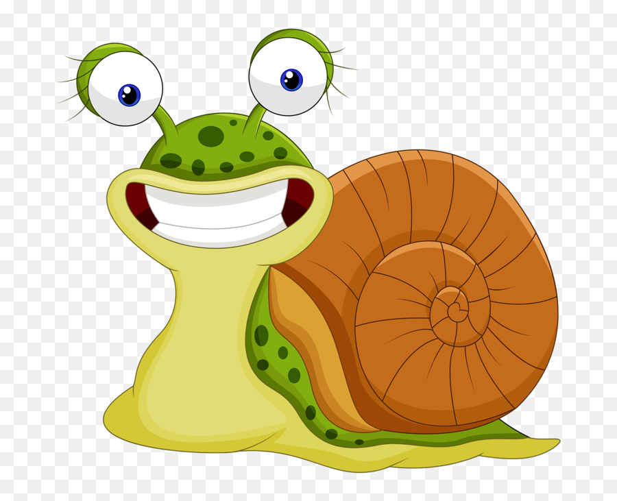 Insects Clipart Snail Transparent Free For - Cartoon Images Of Snail Png,Snail Png