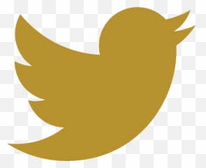 Download Golden Twitter Logo Png Image With No - Transparent Background