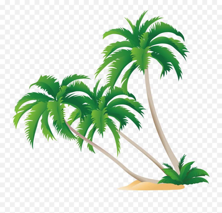 High - Definition Video Display Resolution Wallpaper Palm Clipart Coconut Tree Vector Png,Png Definition