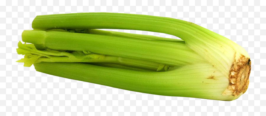 Celery Png Image - Celery,Celery Png