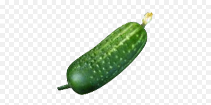 Cucumber Png Transparent Images