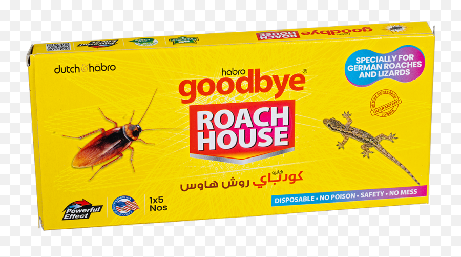 Roach House Cockroach Trap - Earwigs Png,Trap House Png